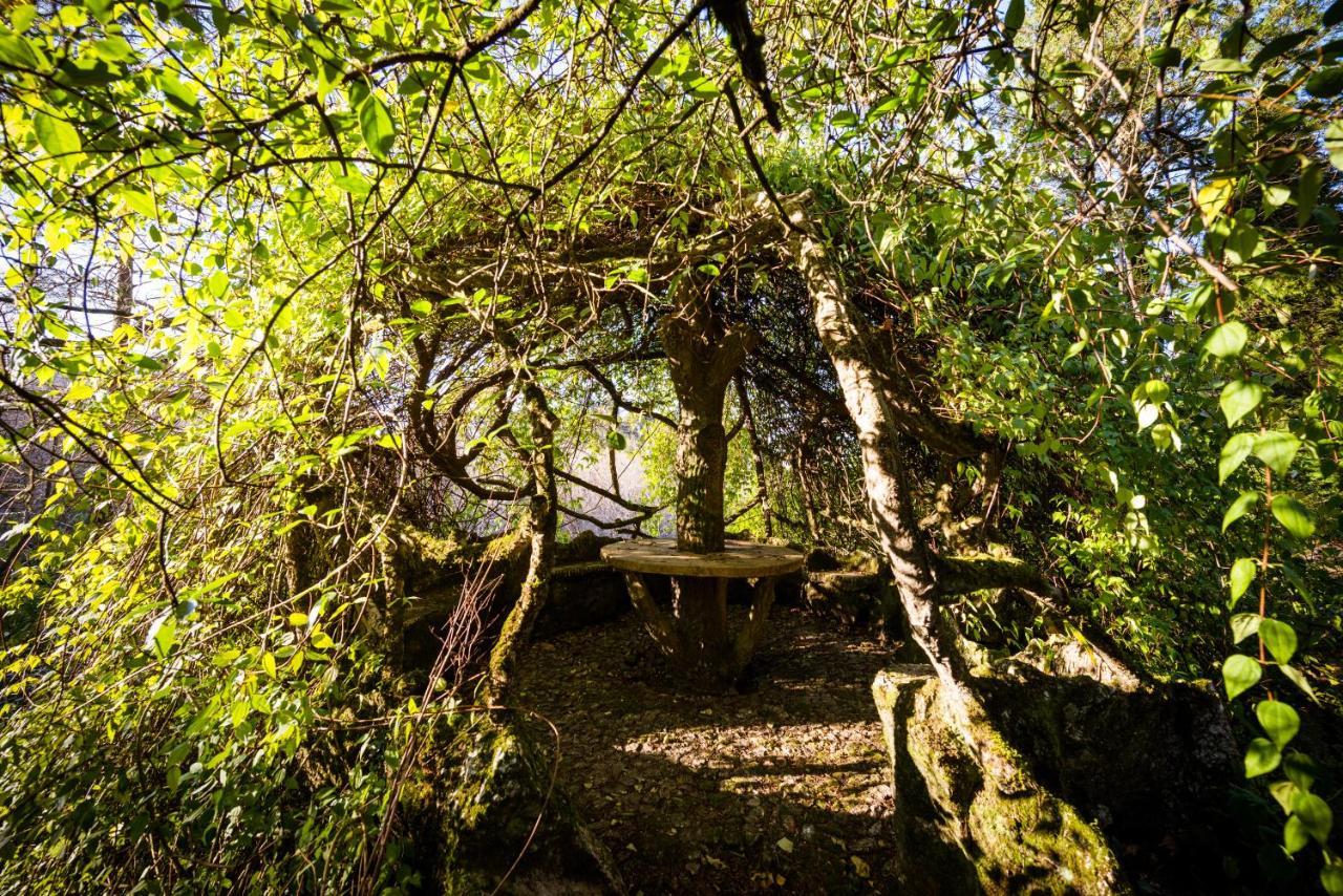 The Grove Houses Guimarães Extérieur photo